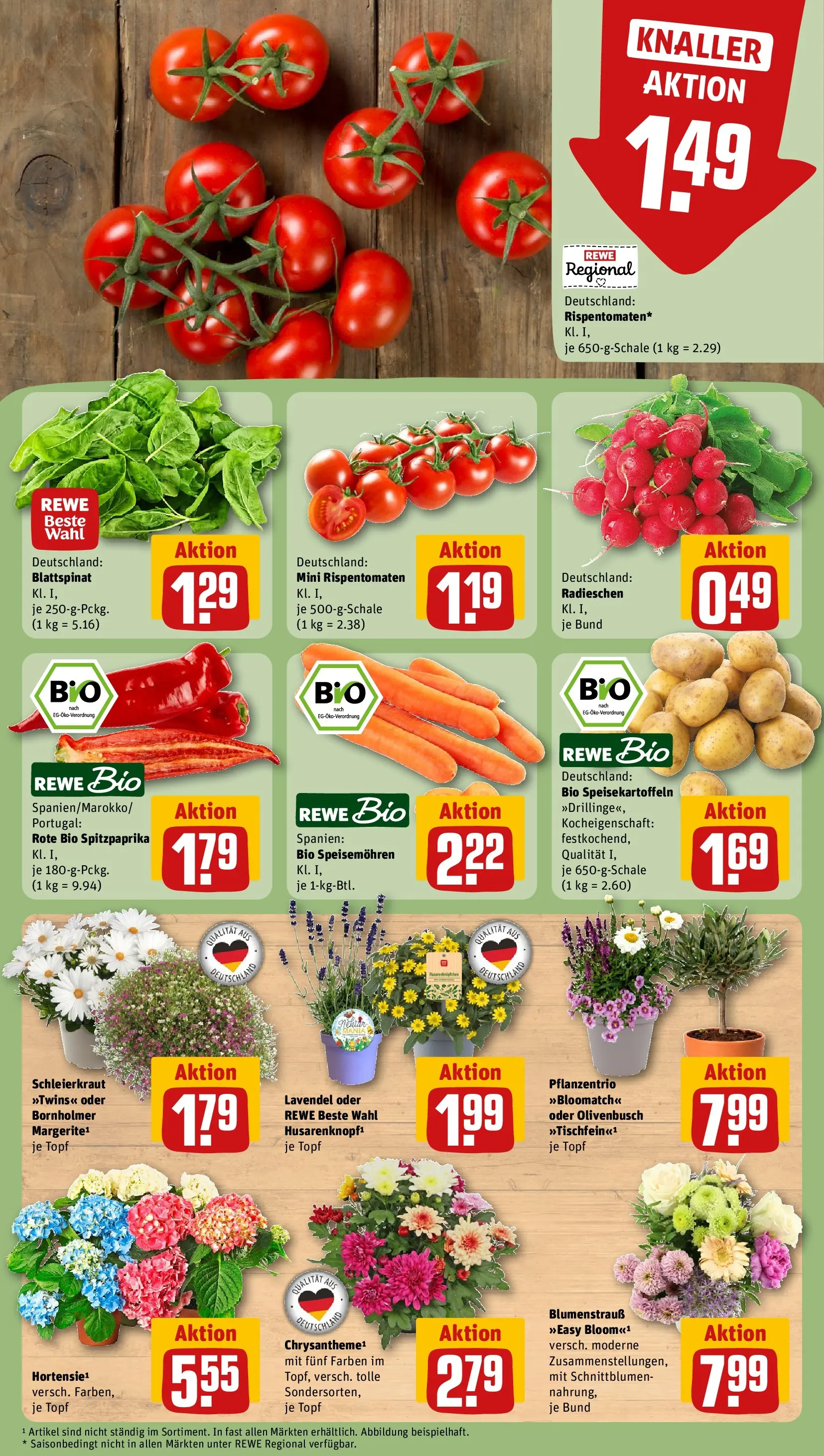 REWE Prospekt ab 14.06.2026 zum Blättern » Angebote | Seite: 11 | Produkte: Tomaten, Lavendel