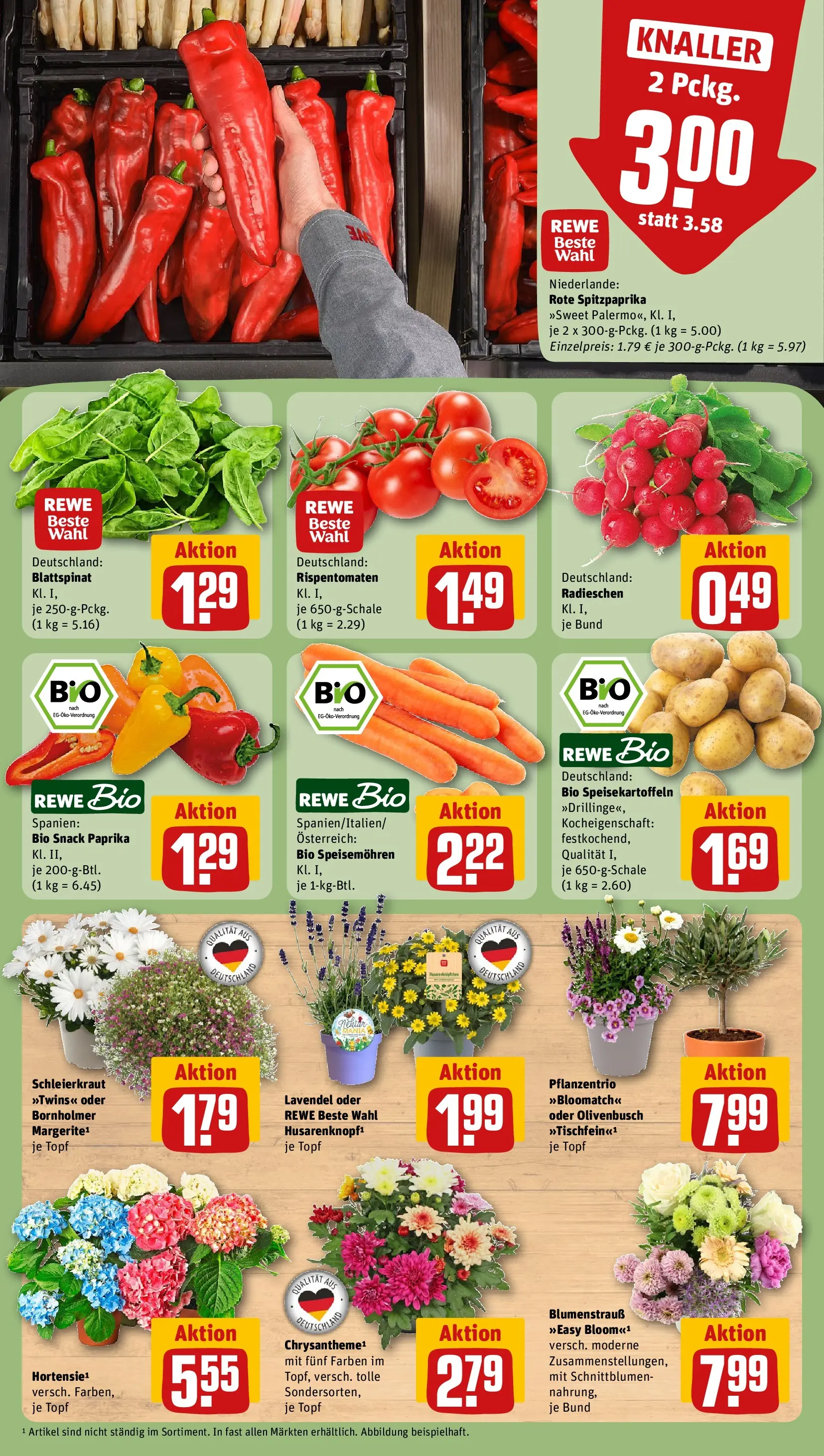 REWE Prospekt ab 14.06.2026 zum Blättern » Angebote | Seite: 11 | Produkte: Hortensie, Tomaten, Paprika, Lavendel