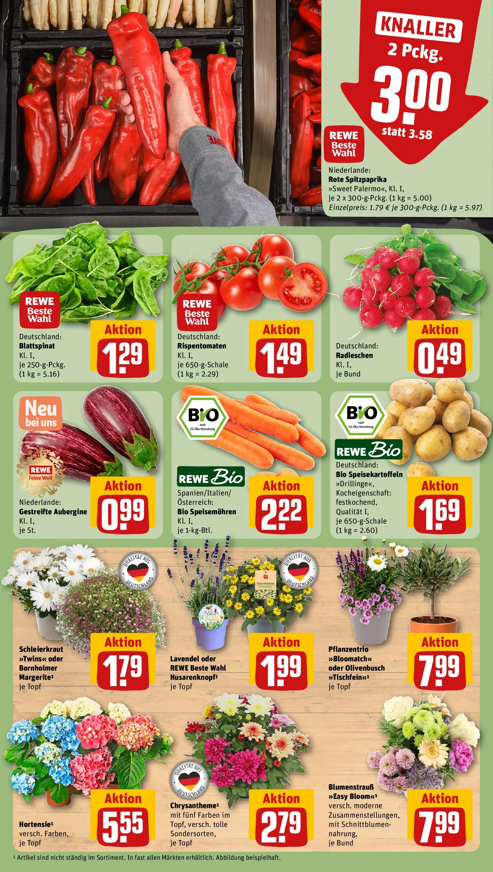 REWE Prospekt ab 14.06.2026 zum Blättern » Angebote | Seite: 11 | Produkte: Aubergine, Lavendel