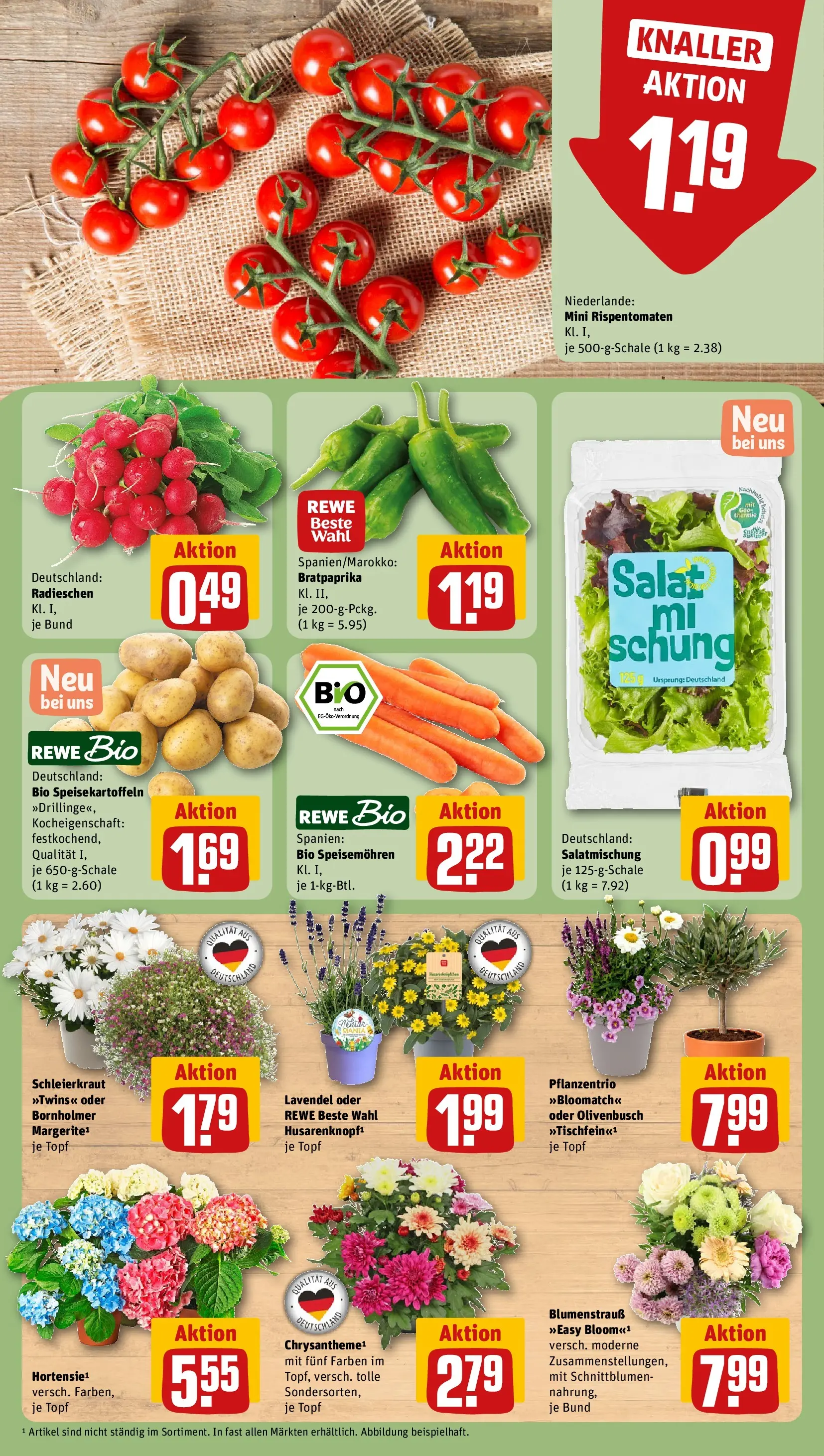 REWE Prospekt ab 14.06.2026 zum Blättern » Angebote | Seite: 11 | Produkte: Tomaten, Lavendel, Salat