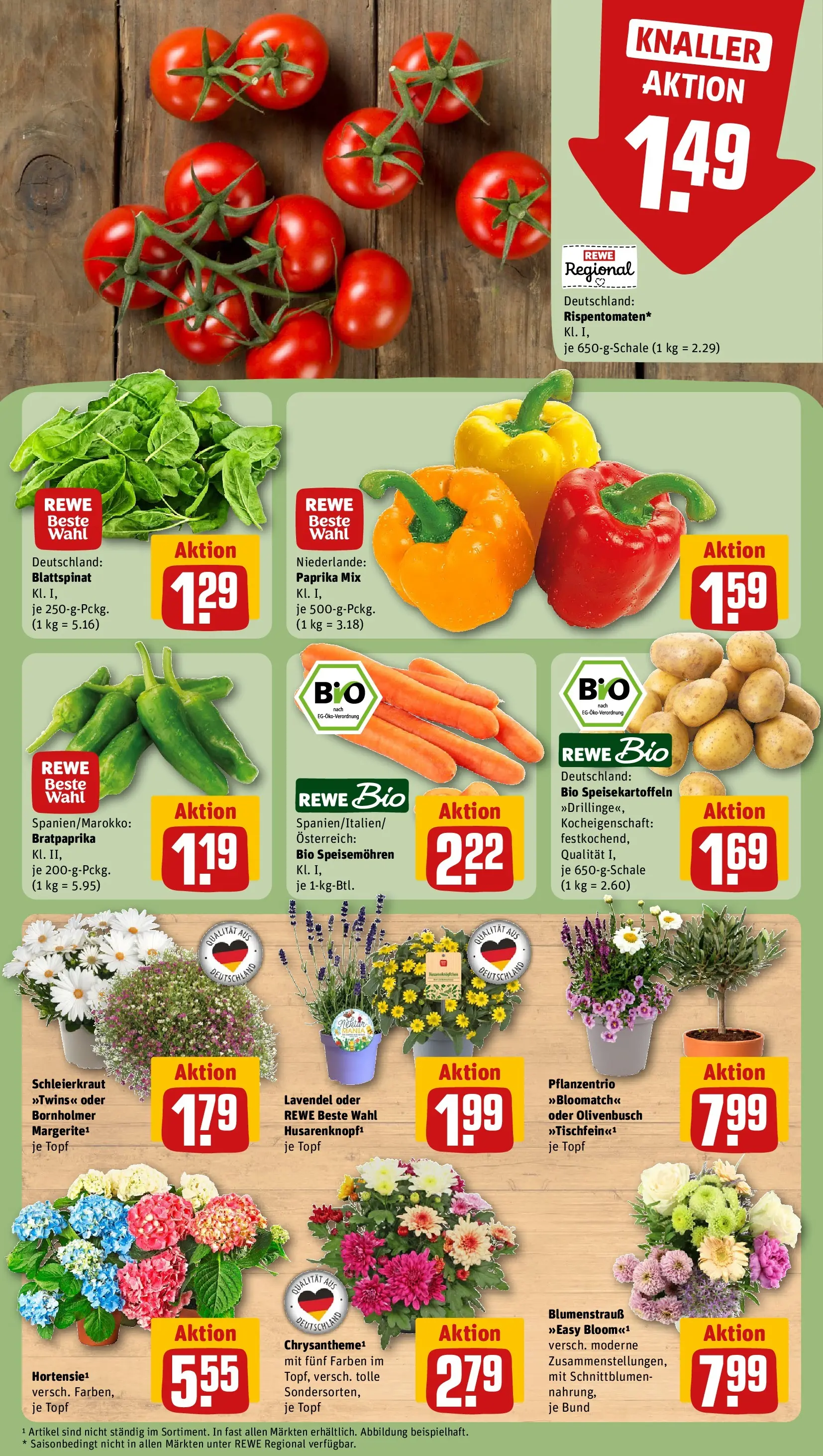 REWE Prospekt ab 14.06.2026 zum Blättern » Angebote | Seite: 11 | Produkte: Paprika, Lavendel