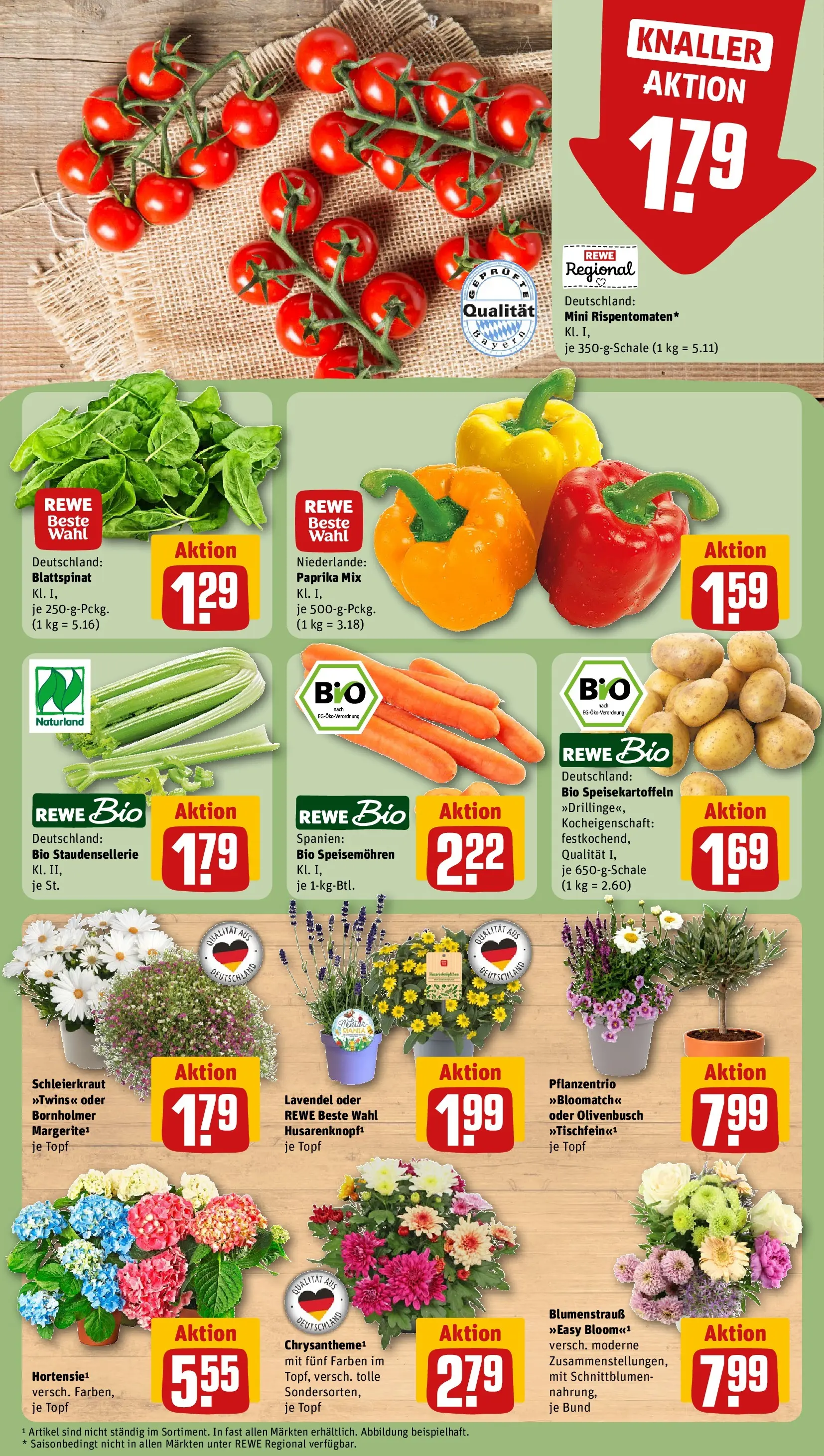 REWE Prospekt ab 14.06.2026 zum Blättern » Angebote | Seite: 11