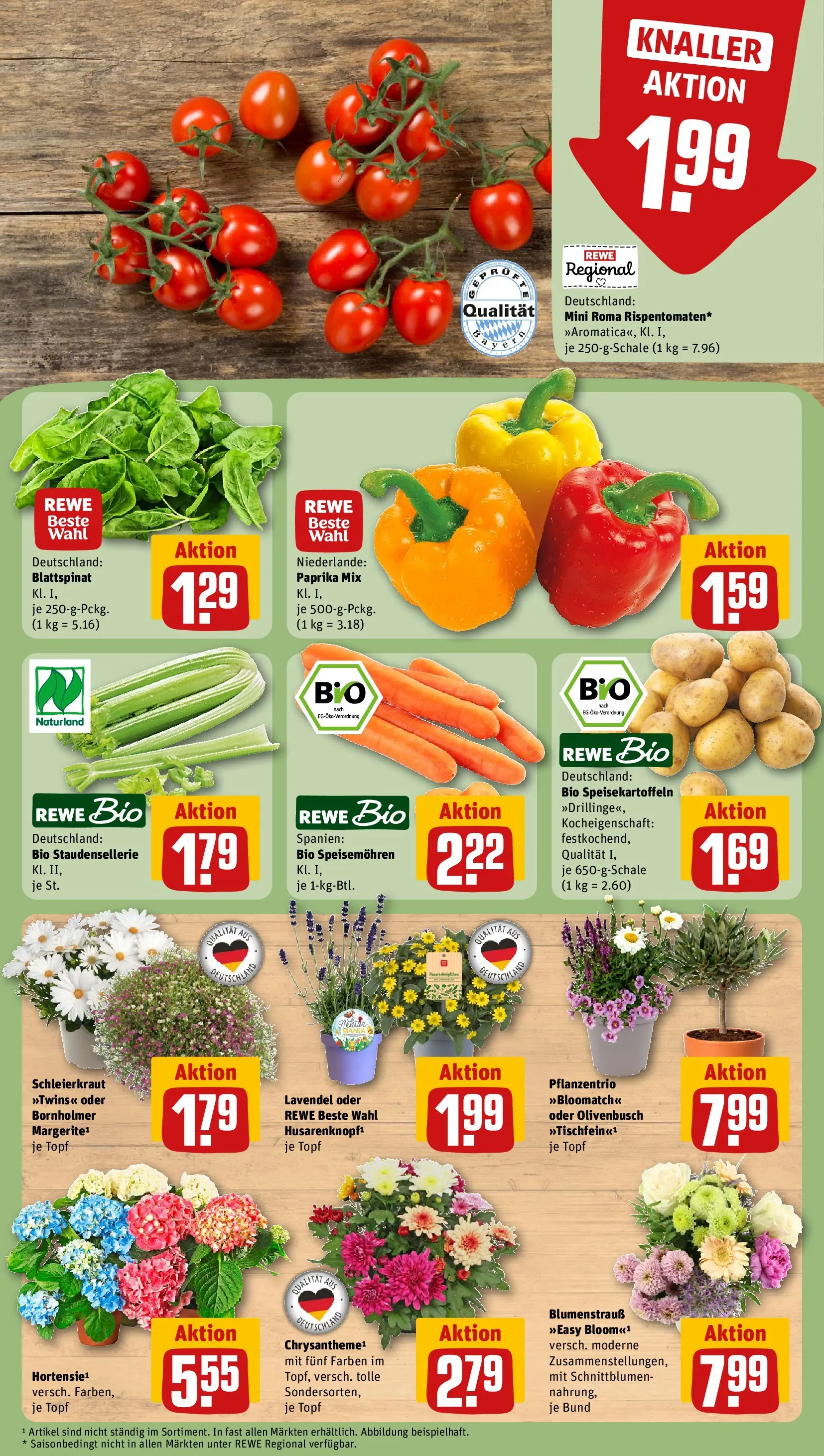 REWE Prospekt ab 14.06.2026 zum Blättern » Angebote | Seite: 11 | Produkte: Hortensie, Paprika, Lavendel
