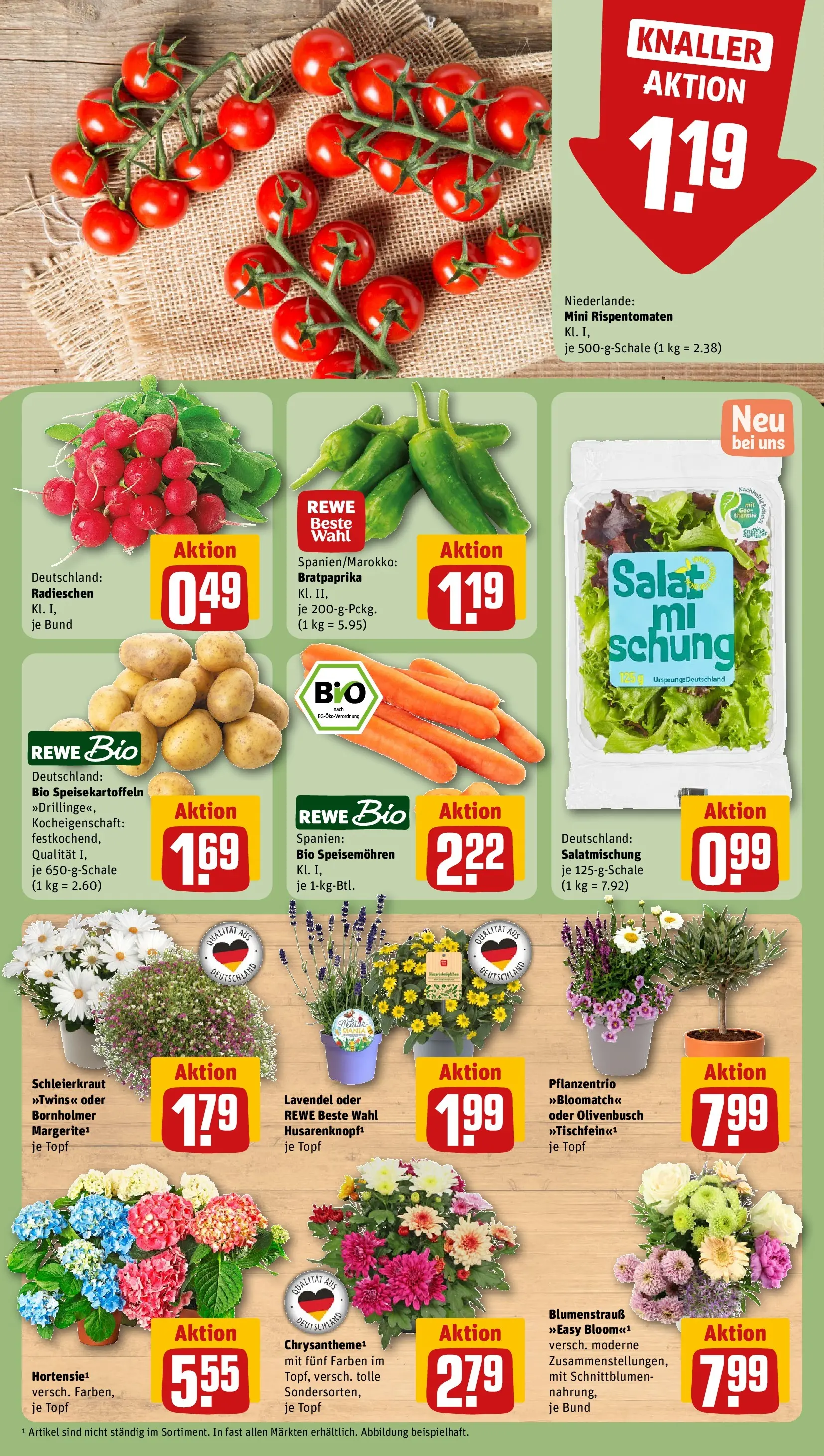 REWE Prospekt ab 14.06.2026 zum Blättern » Angebote | Seite: 5 | Produkte: Lavendel, Salat