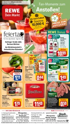 Rewe Prospekt Bochum ab 14.06.2026 gültig