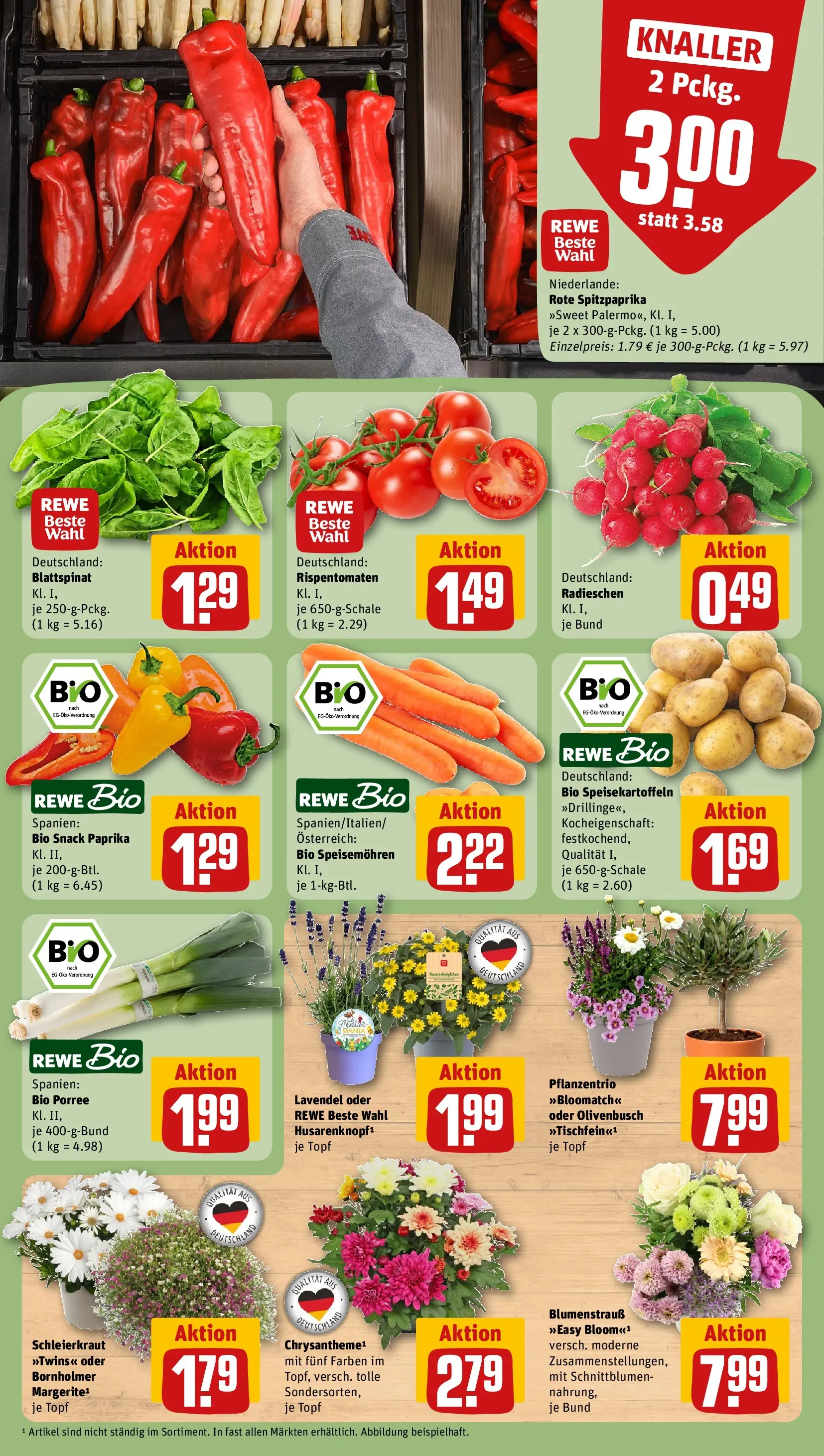 REWE Prospekt ab 14.06.2026 zum Blättern » Angebote | Seite: 11 | Produkte: Paprika, Lavendel