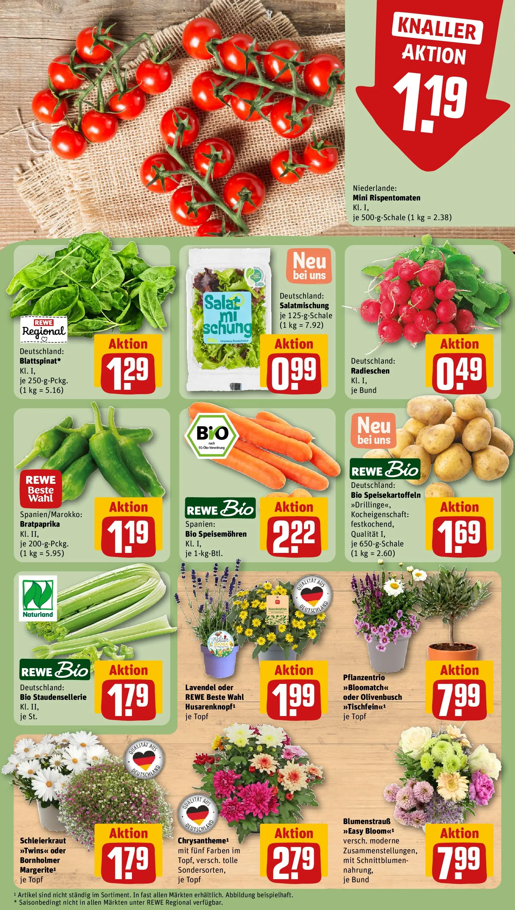 REWE Prospekt ab 14.06.2026 zum Blättern » Angebote | Seite: 11 | Produkte: Tomaten, Lavendel, Salat
