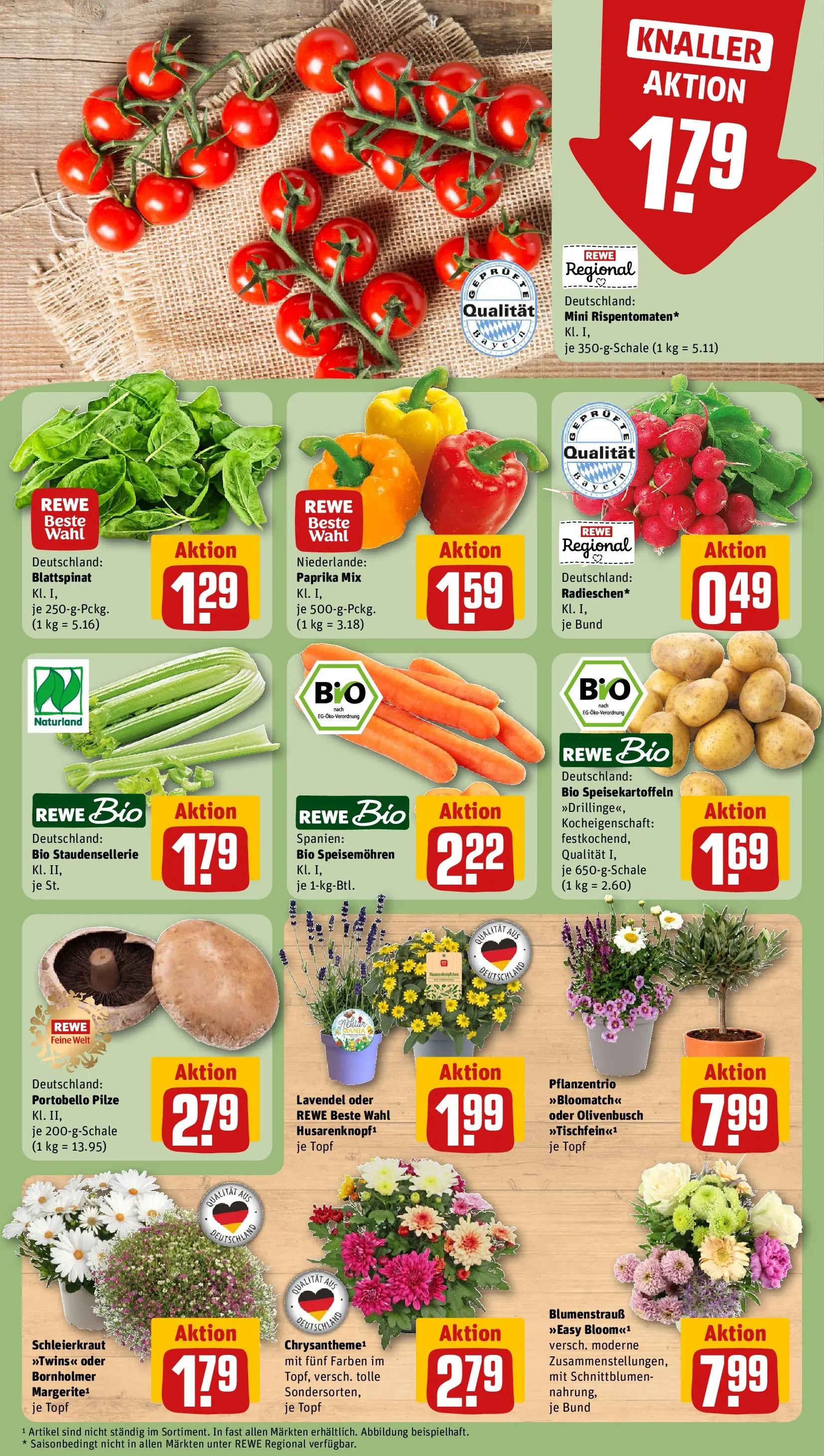 REWE Prospekt ab 14.06.2026 zum Blättern » Angebote | Seite: 11 | Produkte: Paprika, Lavendel