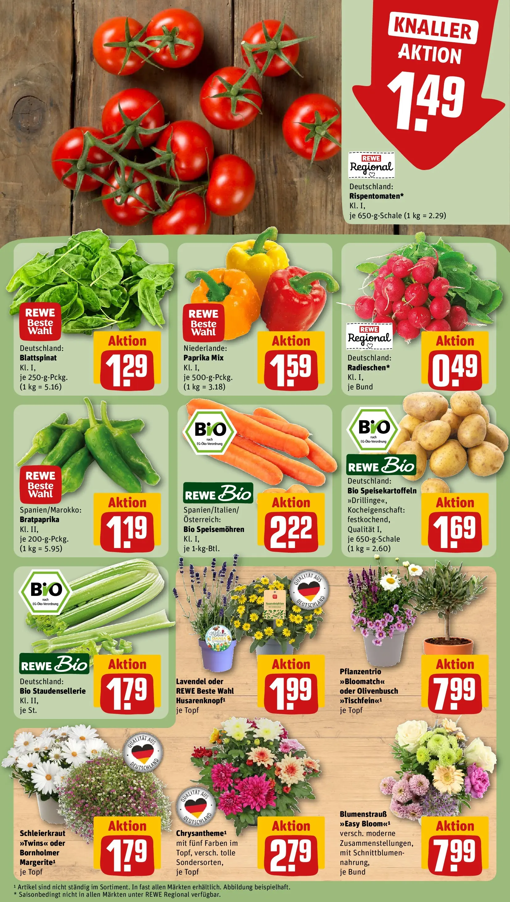 REWE Prospekt ab 14.06.2026 zum Blättern » Angebote | Seite: 11 | Produkte: Paprika, Lavendel