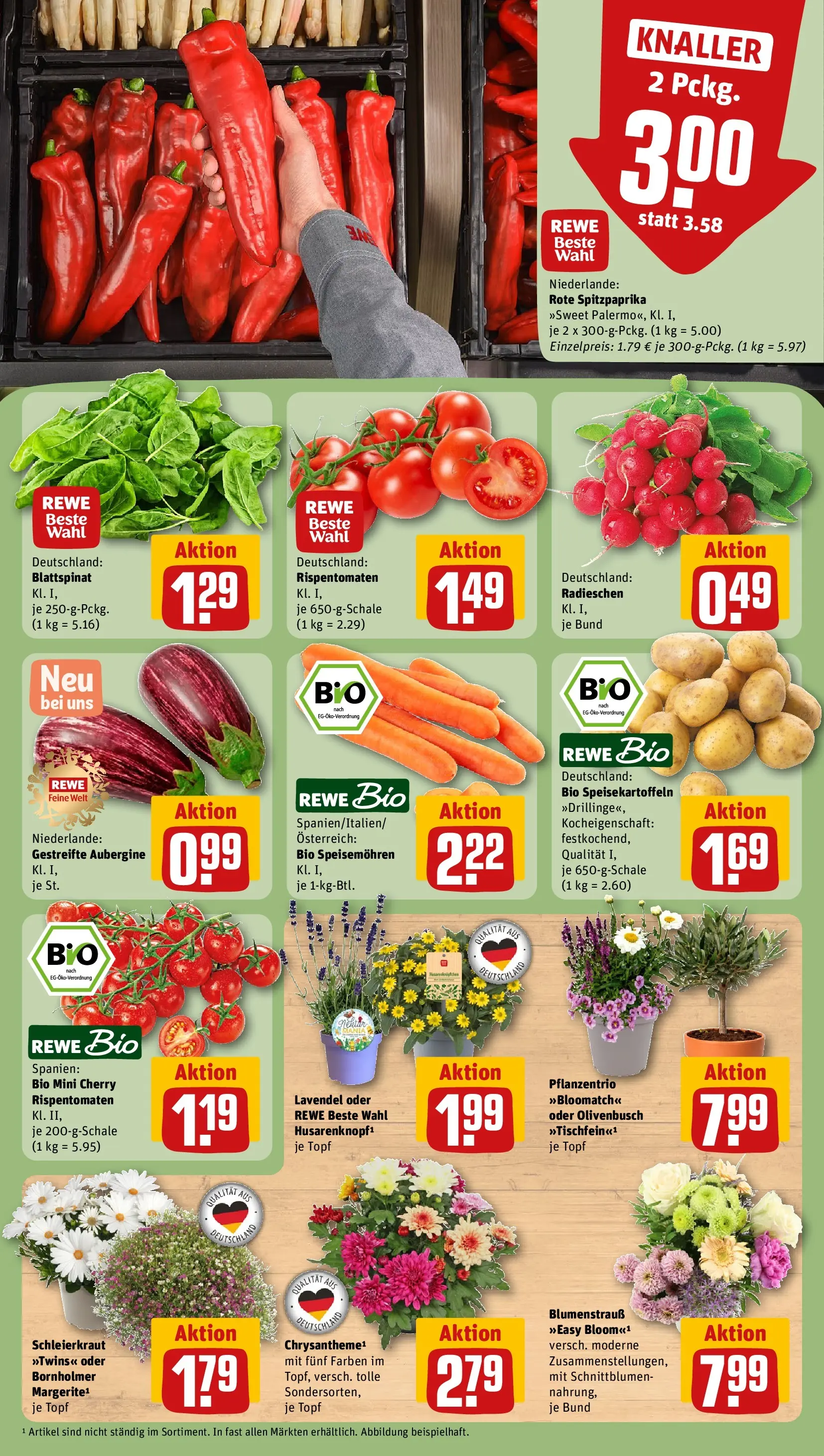 REWE Prospekt ab 14.06.2026 zum Blättern » Angebote | Seite: 11 | Produkte: Tomaten, Aubergine, Lavendel