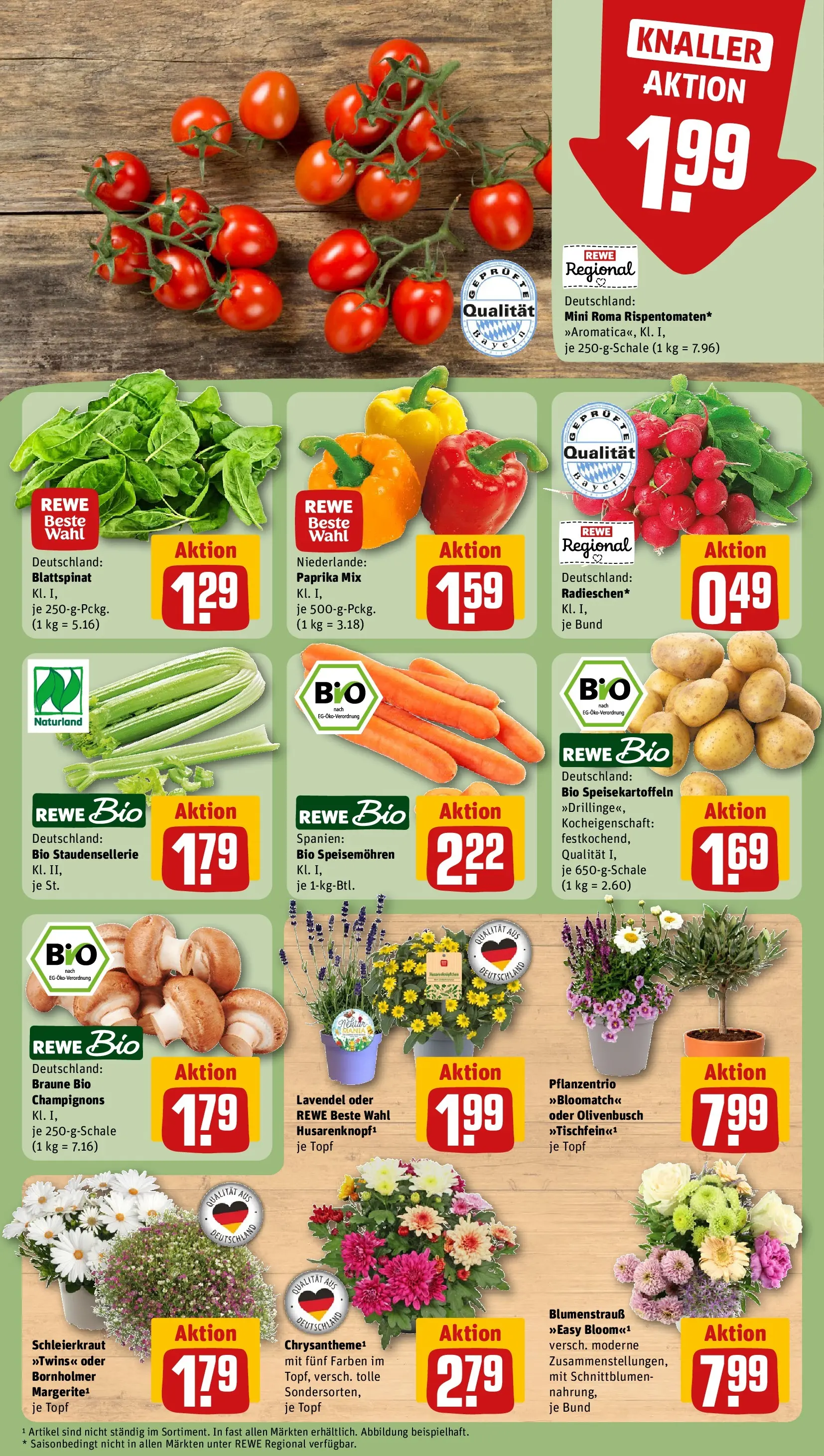 REWE Prospekt ab 14.06.2026 zum Blättern » Angebote | Seite: 11 | Produkte: Champignons, Paprika, Lavendel