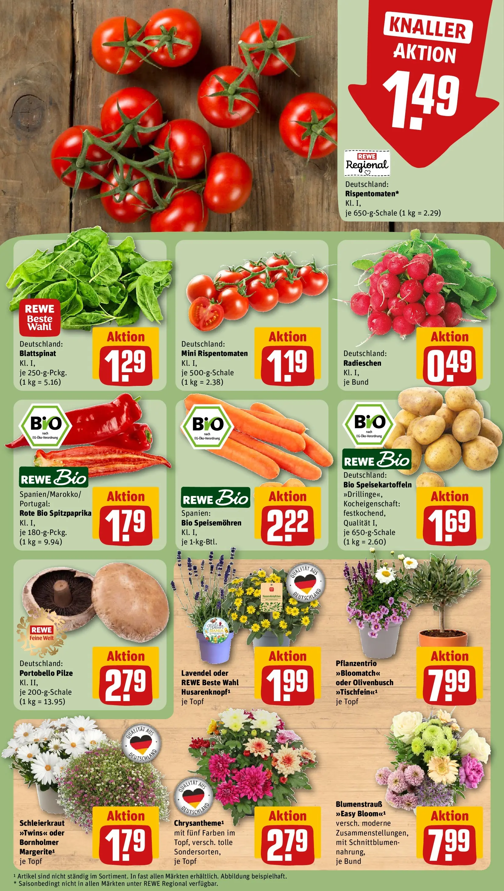 REWE Prospekt ab 14.06.2026 zum Blättern » Angebote | Seite: 11 | Produkte: Lavendel