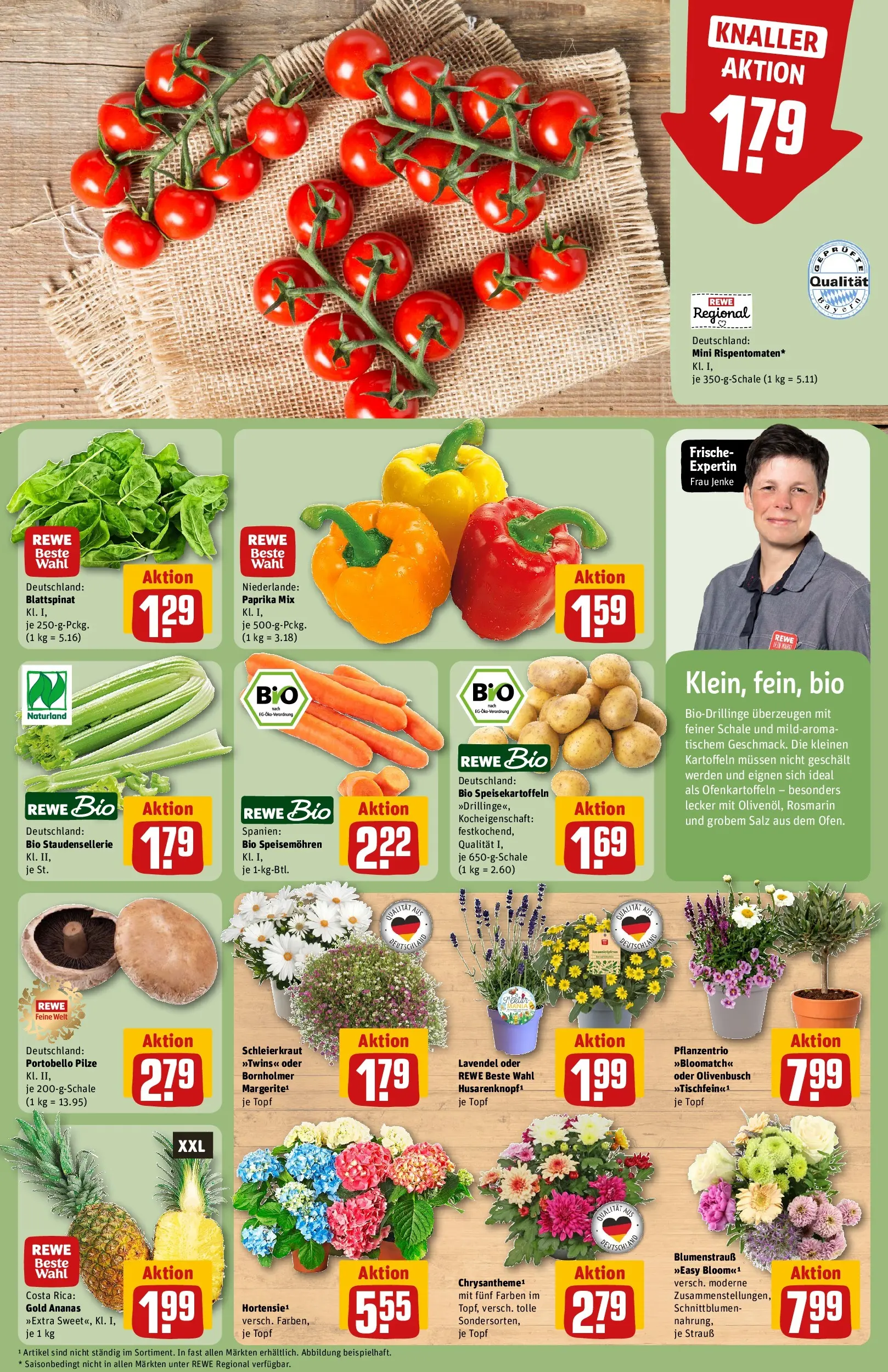 REWE Prospekt ab 14.06.2026 zum Blättern » Angebote | Seite: 9 | Produkte: Paprika, Salz, Kraut, Lavendel