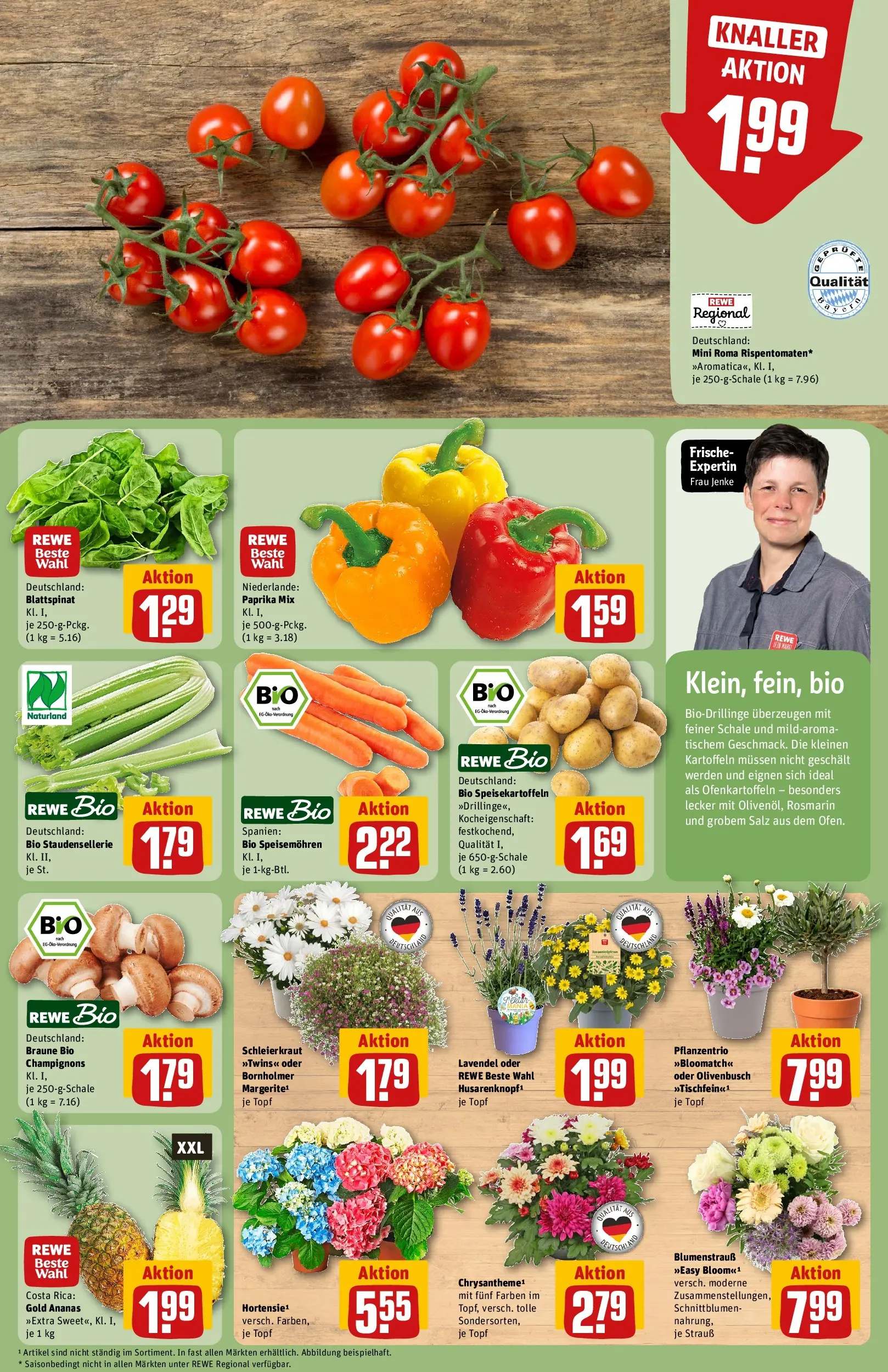 REWE Prospekt ab 14.06.2026 zum Blättern » Angebote | Seite: 9 | Produkte: Champignons, Kartoffeln, Paprika, Lavendel