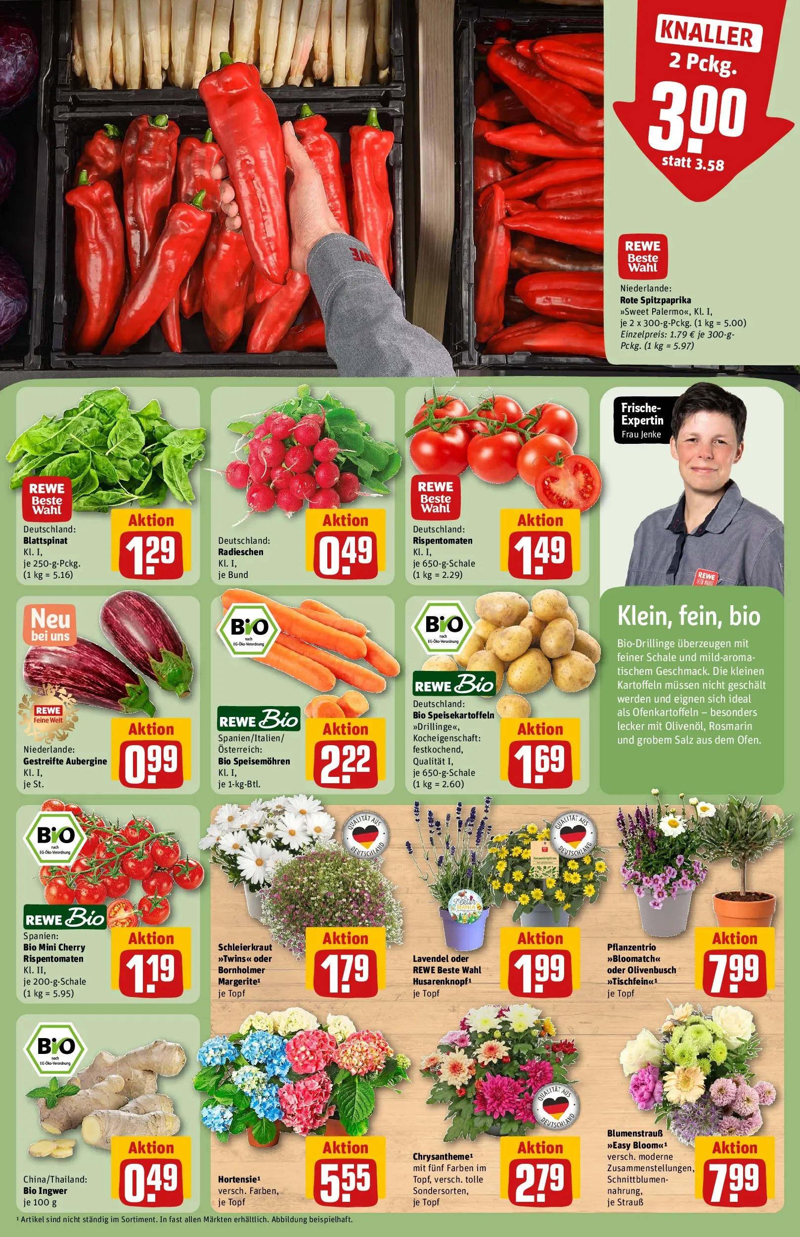 REWE Prospekt ab 14.06.2026 zum Blättern » Angebote | Seite: 9 | Produkte: Kartoffeln, Salz, Aubergine, Lavendel