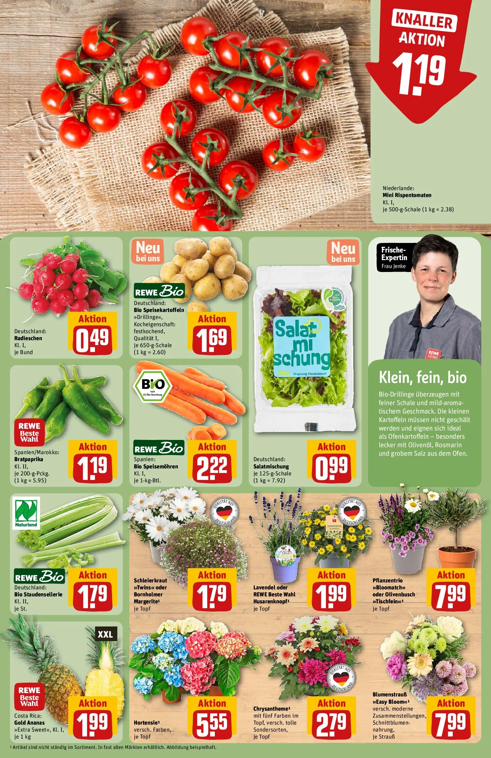 REWE Prospekt ab 14.06.2026 zum Blättern » Angebote | Seite: 9 | Produkte: Ananas, Tomaten, Kartoffeln, Salat