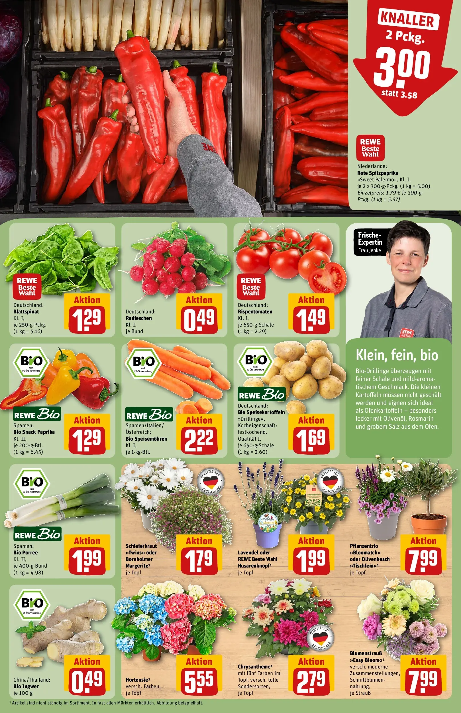 REWE Prospekt ab 14.06.2026 zum Blättern » Angebote | Seite: 9 | Produkte: Kartoffeln, Paprika, Salz, Lavendel