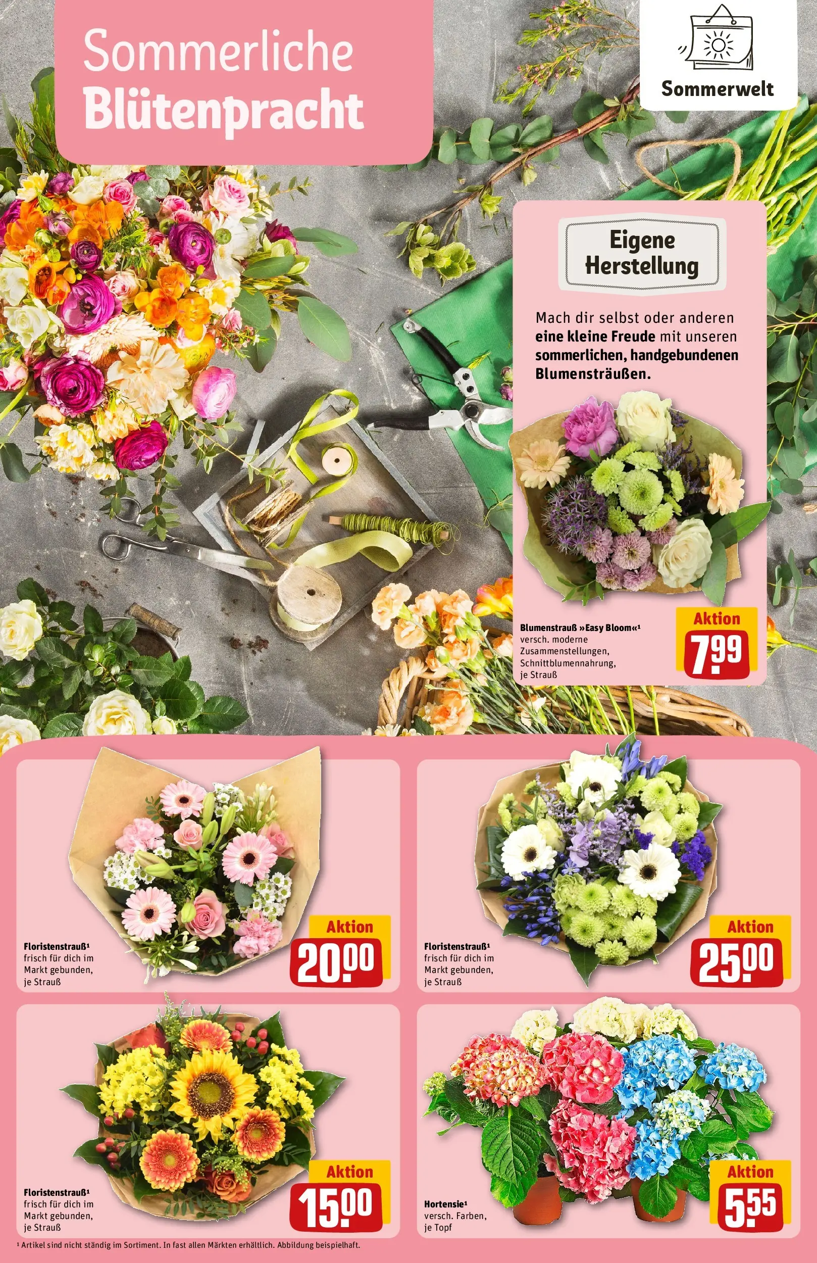 REWE Prospekt ab 14.06.2026 zum Blättern » Angebote | Seite: 14 | Produkte: Hortensie