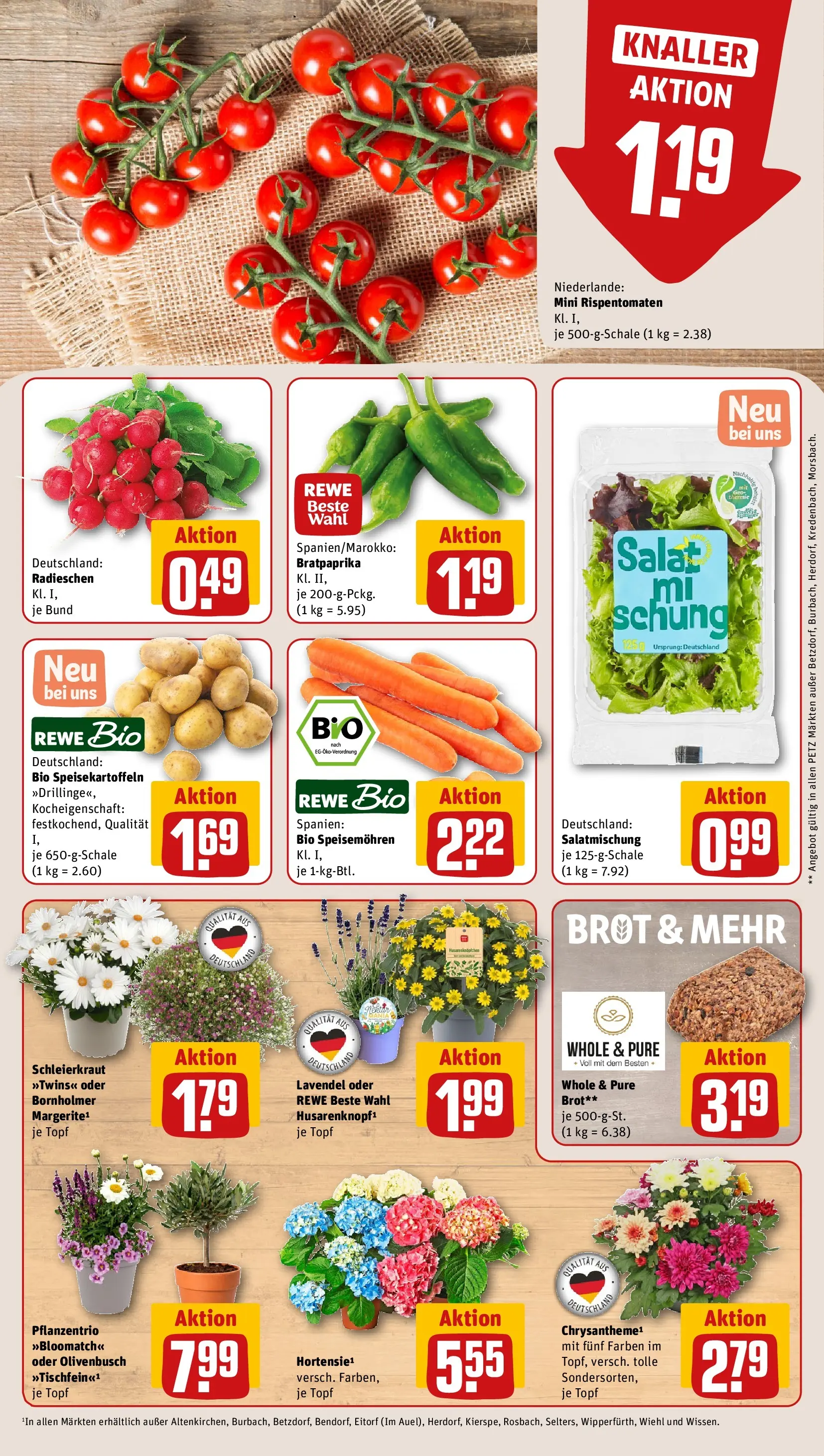 REWE Prospekt ab 14.06.2026 zum Blättern » Angebote | Seite: 15 | Produkte: Tomaten, Brot, Lavendel, Salat