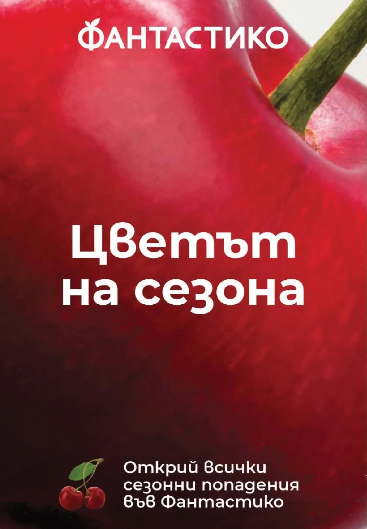 Нова Фантастико - Седмични предложения във Фантастико с валидност до 17.06.2026 от 10.06.2026 | Страница: 12