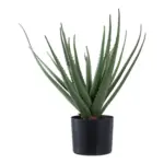 M&ouml;belix KUNSTPFLANZE Aloe Vera Gr&uuml;n B: 30,5 cm