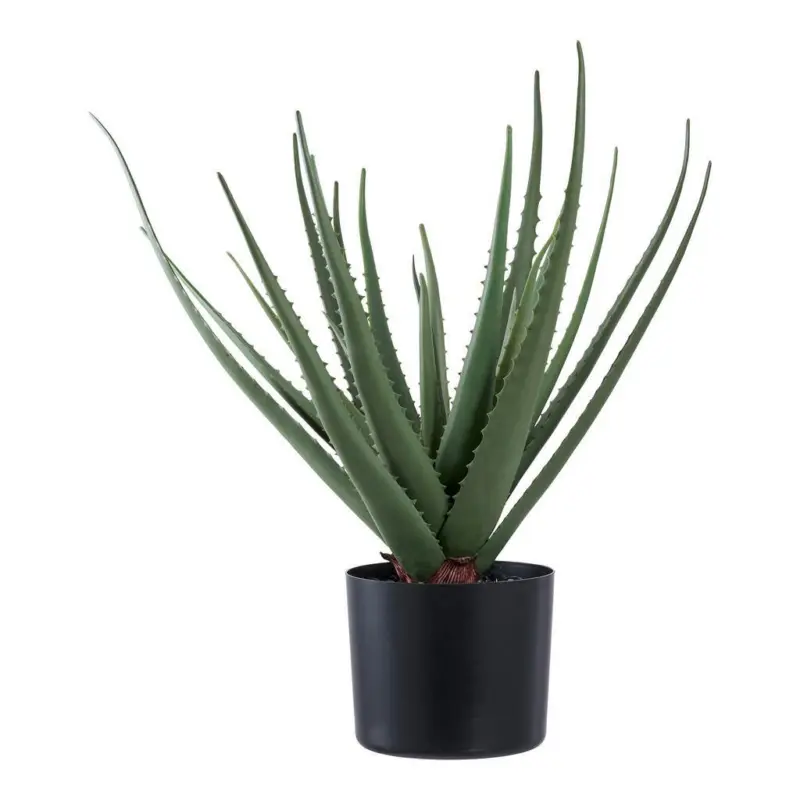 KUNSTPFLANZE Aloe Vera Gr&uuml;n B: 30,5 cm