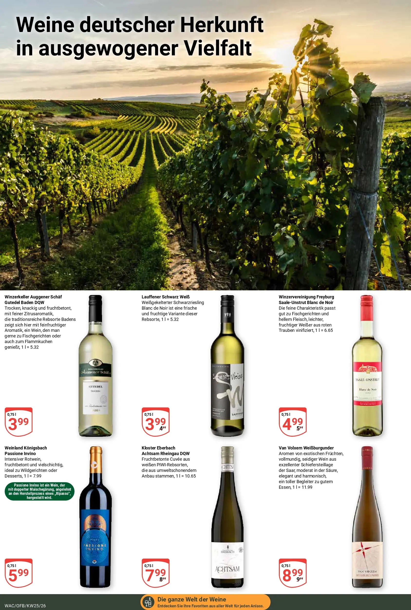 Globus Prospekt Markkleeberg (ab 15.06.2026) » Angebote online | Seite: 19 | Produkte: Trauben, Wein, Schal