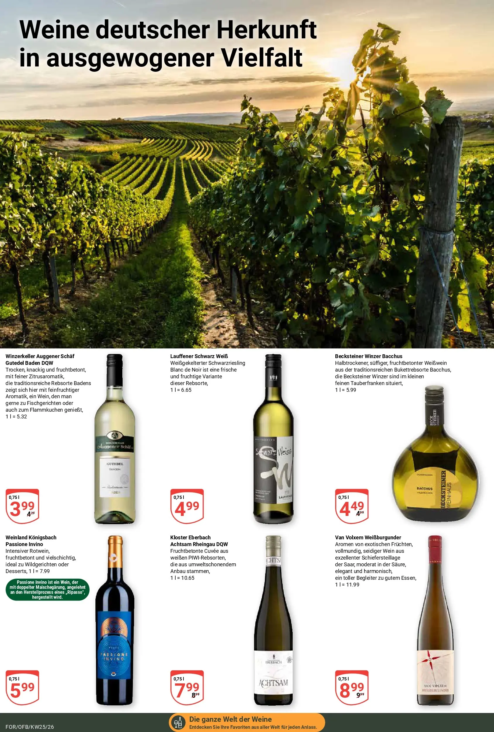 Globus Prospekt Forchheim (ab 15.06.2026) » Angebote online | Seite: 17 | Produkte: Weißwein, Wein, Schal