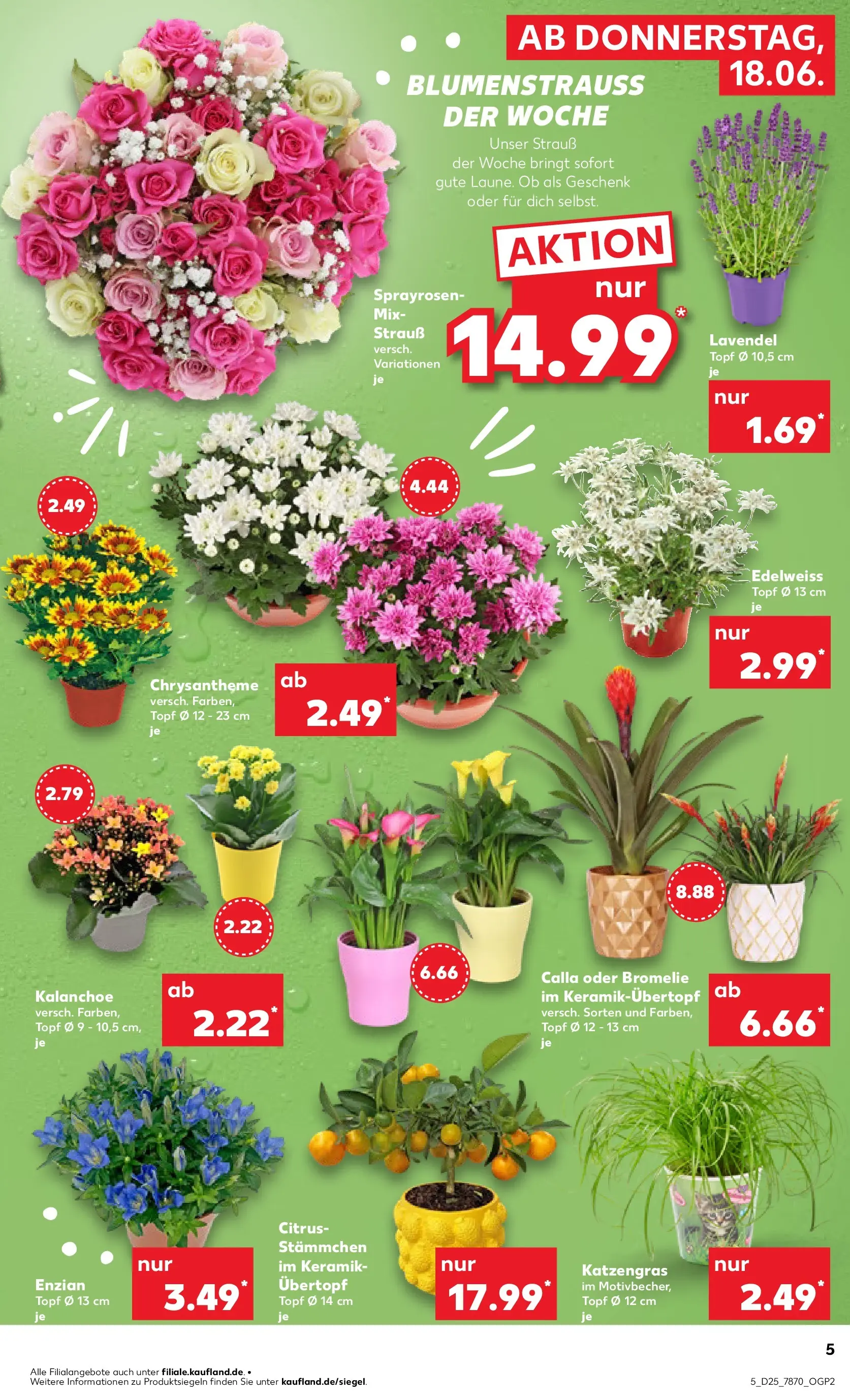 Prospekt Kaufland ab 14.06.2026 » Angebote Online zum Blättern | Seite: 10 | Produkte: Lavendel
