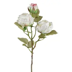 Dekozweig Vintagerose II Wei&szlig;