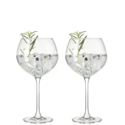 Gl&auml;serset Gin 2-teilig