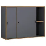 M&ouml;belix Aktenschrank Salia Anthrazit, Honigeiche B:100 cm