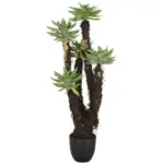M&ouml;belix Kunstpflanze DUDLEYA Kunststoff, Gr&uuml;n, H: 80 cm