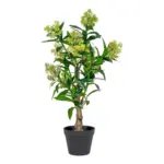 M&ouml;belix KUNSTPFLANZE Skimmia H: 75 cm Gr&uuml;n Schwarz