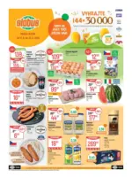 Globus Globus 25 26 L1 &ndash; do 23.06.2026