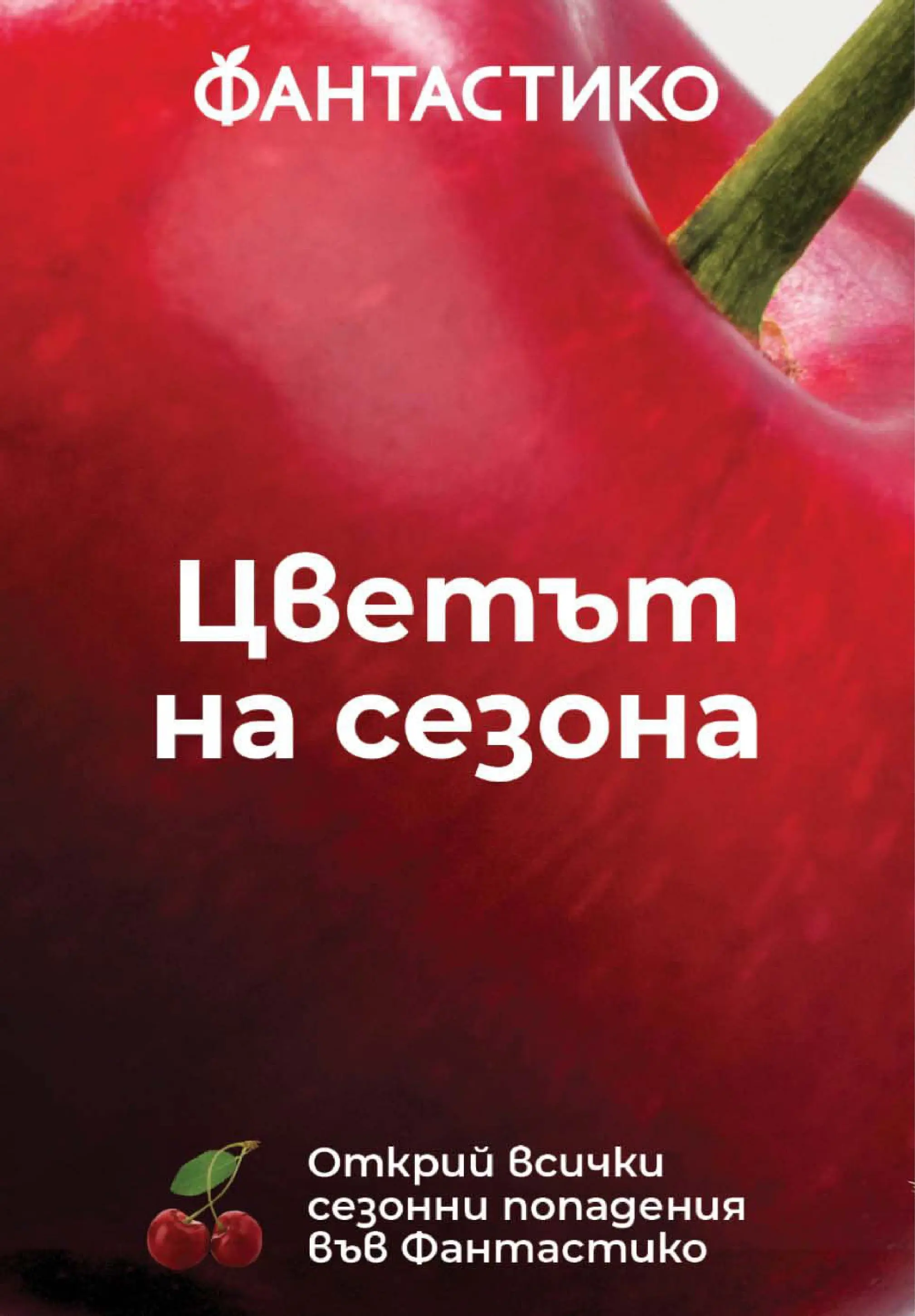 Нова Фантастико брошура Пловдив от 11.06.2026 | Страница: 13 | Продукти: Ягоди, Малини