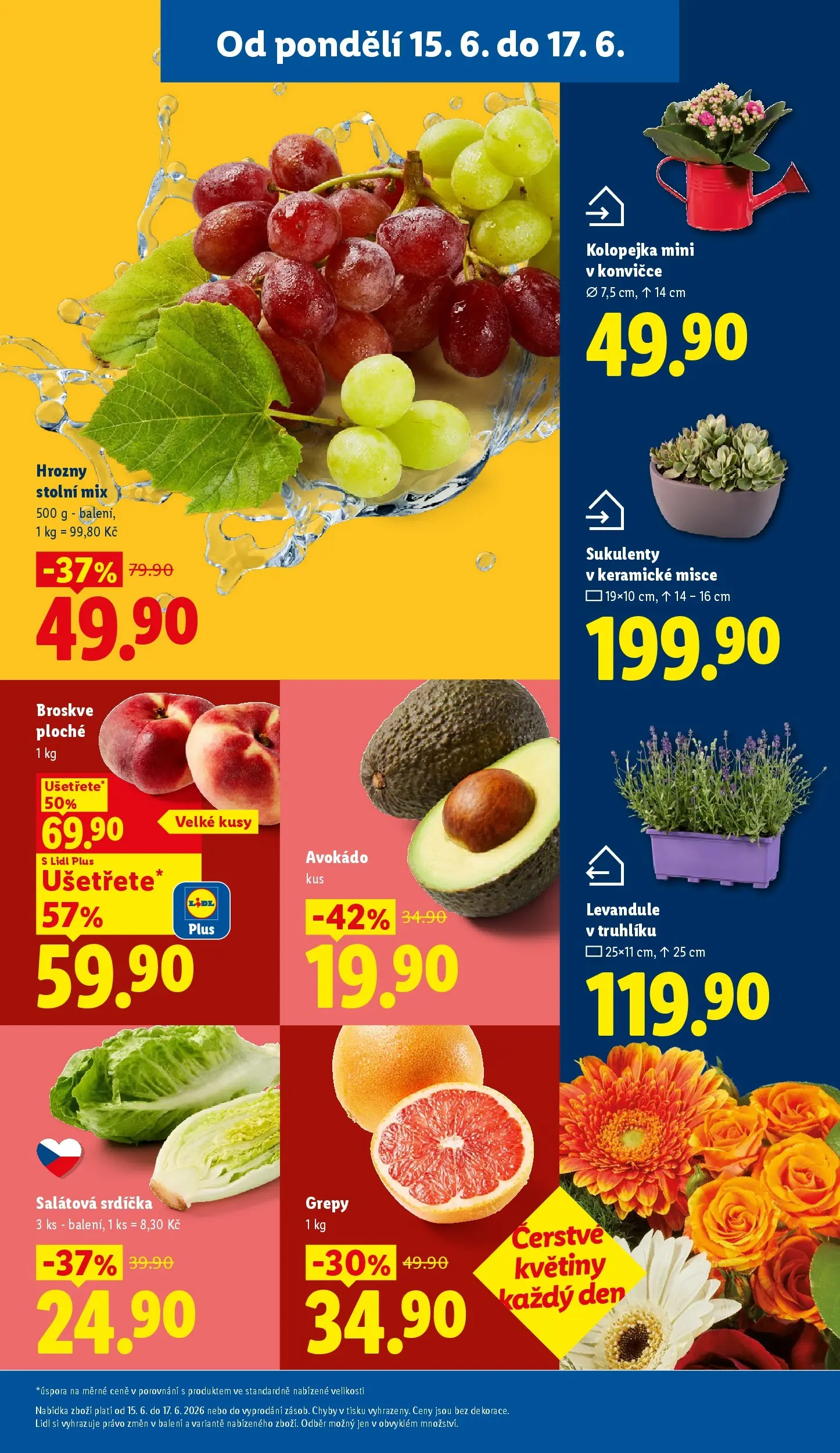 Lidl leták od 14.06.2026 - Nový akční leták | Strana: 11