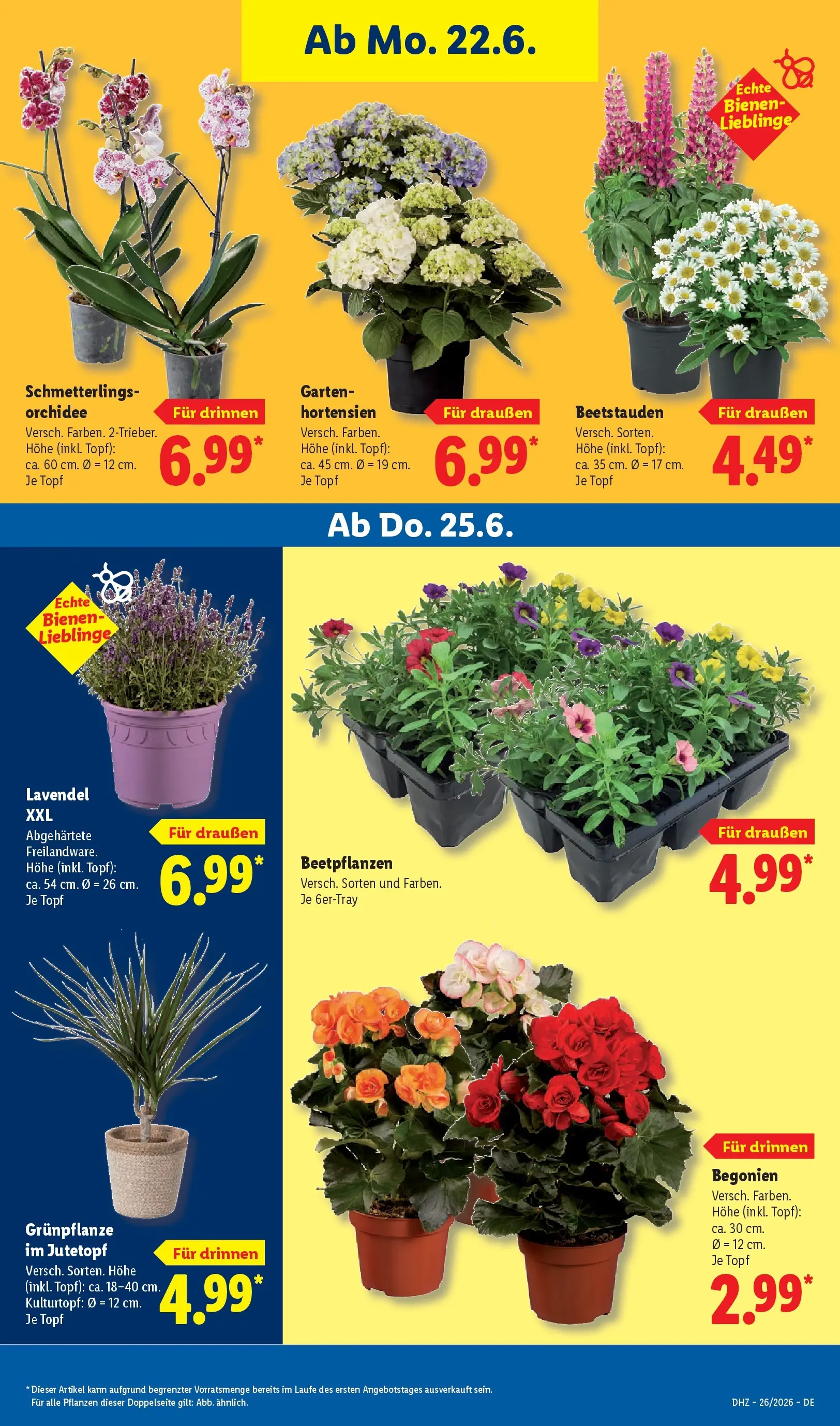 Lidl Prospekt Leegebruch (ab 21.06.2026) ยป Angebote online | Seite: 73 Lidl Prospekt Leegebruch (ab 21.06.2026) zum Blรคttern ยป Angebote | Seite: 73
