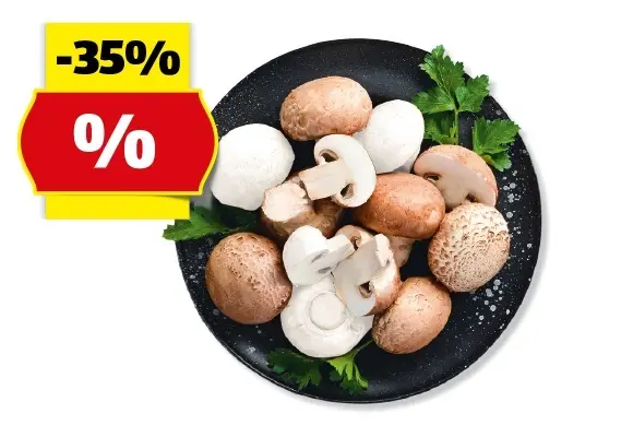 HOFER MARKTPLATZ Champignons*, 500 g/300 g