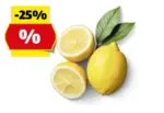 HOFER HOFER MARKPLATZ Bio-Zitronen, 500 g