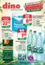Zaakceptowany katalog weekend 2026 Dino &ndash; do 13.06.2026