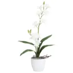 M&ouml;belix Kunstpflanze Orchideen Wei&szlig;, Topf: Wei&szlig;, H: 60 cm