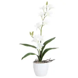 Kunstpflanze Orchideen Wei&szlig;, Topf: Wei&szlig;, H: 60 cm
