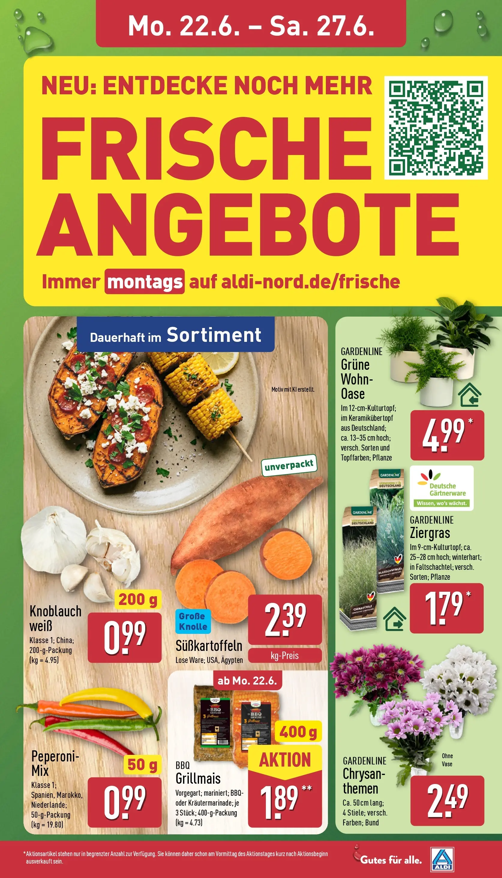 Aldi - ALDI Nord: Wochenangebote (ab 21.06.2026) » Angebote Online | Seite: 3