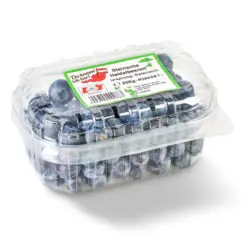 Da komm ich her! Heidelbeeren