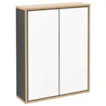 M&ouml;belix Spiegelschrank Finn 2-T&uuml;rig BHT: 60x75x18,5 cm Anthrazit
