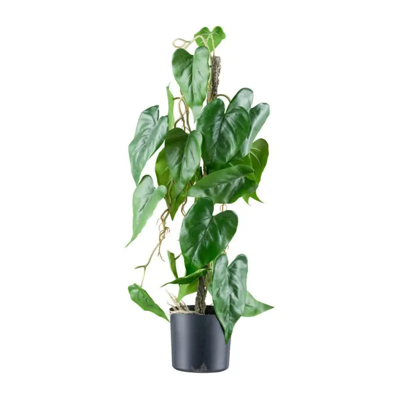 Kunstpflanze Anthurie H: 66 cm