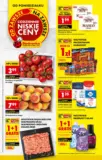 Nowe oferty do odkrycia