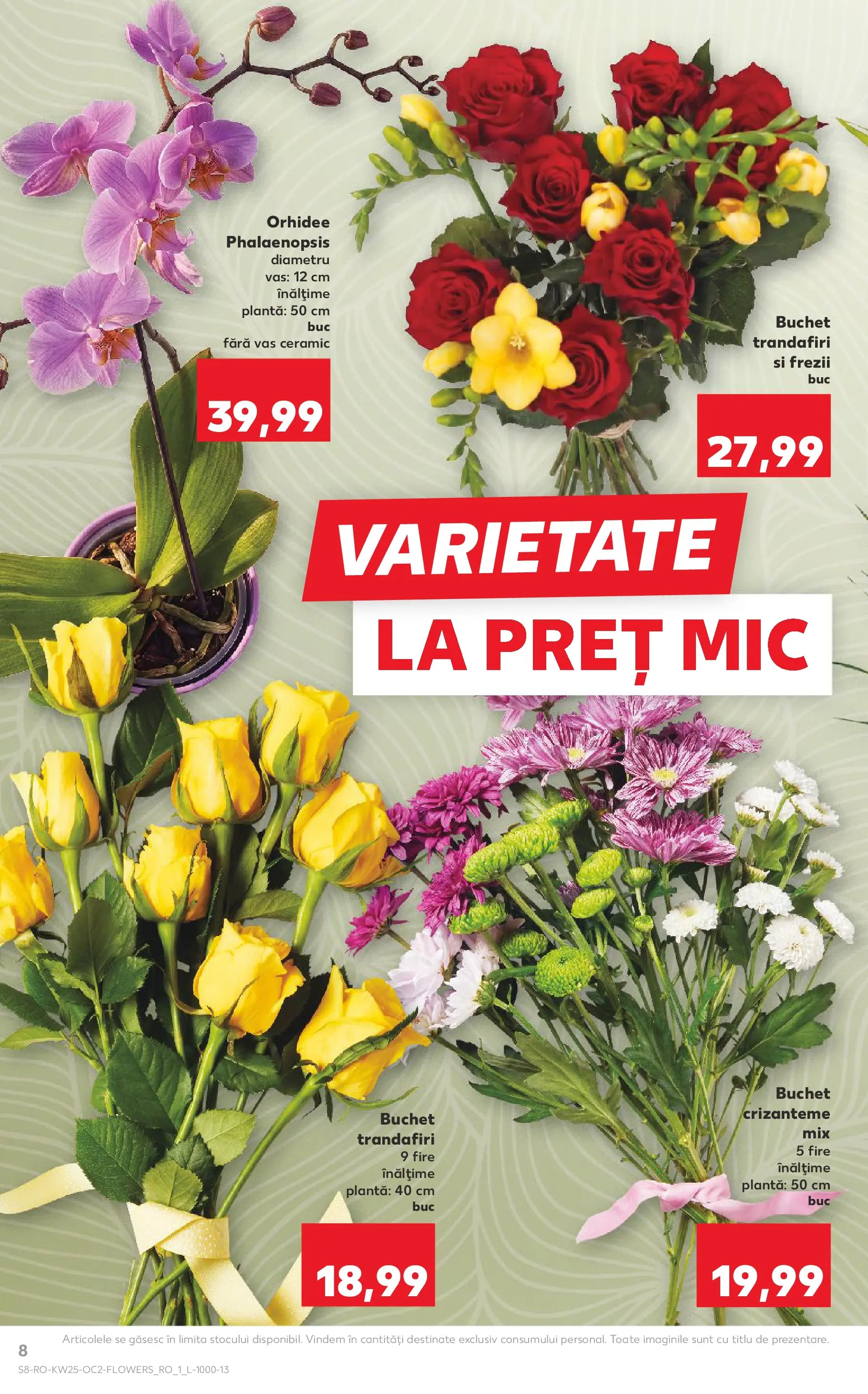 Kaufland Viseu de Sus 17.06.2026 - Revista si Oferta | Pagină: 8 | Produse: Orhidee