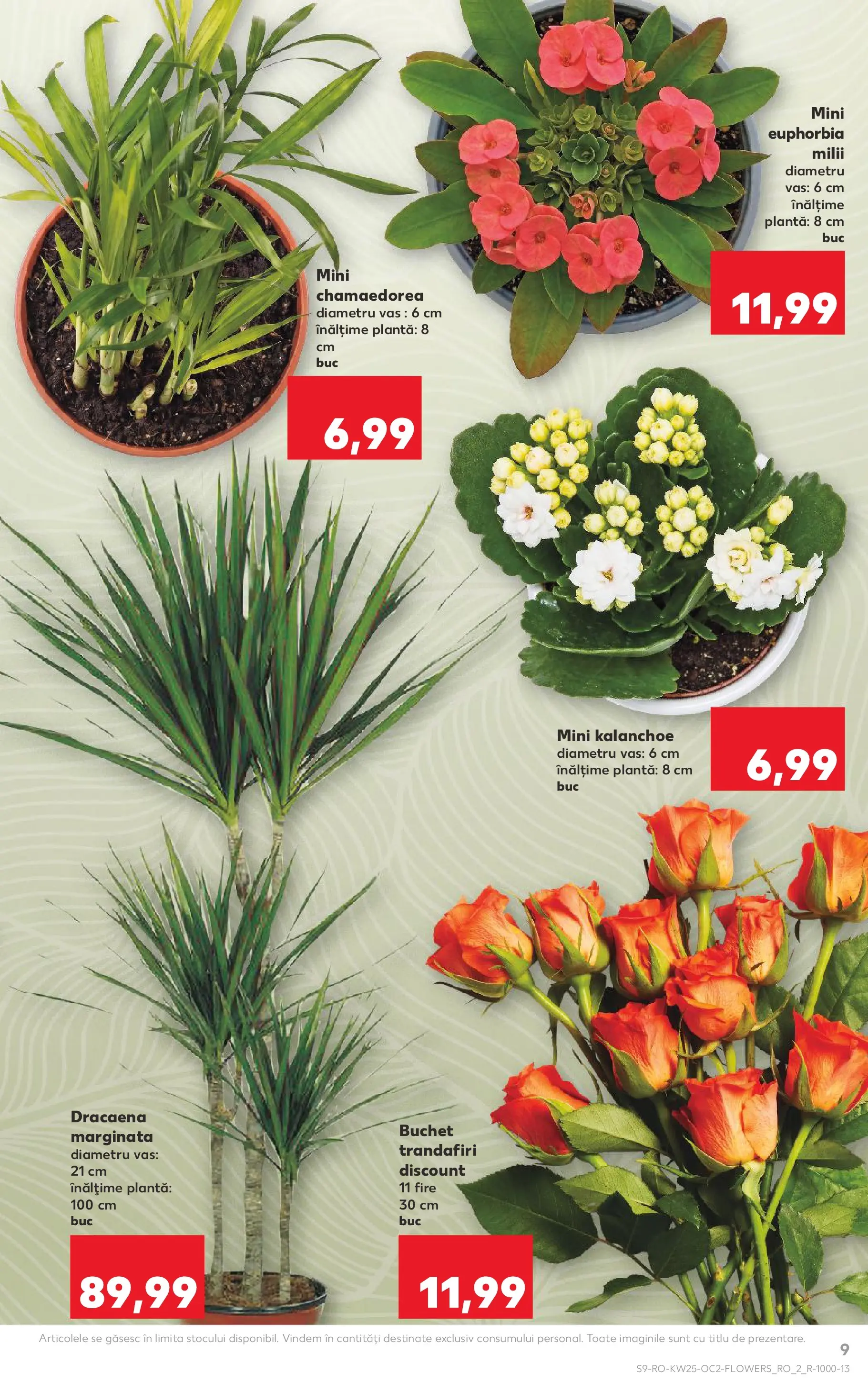 Kaufland Viseu de Sus 17.06.2026 - Revista si Oferta | Pagină: 9